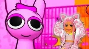 розовая тюрьма