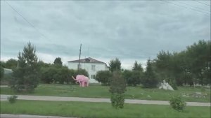 Город Ужур, Красноярский край. 29.06.21г. Автор видео Елена Цыганова