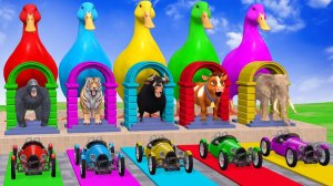 Веселые игры с слоном, гориллой, бегемотом, тигром - 3D игра с животными - Забавные 3D животные