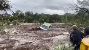 Эти Интересные Случаи Удалось Снять на Камеру