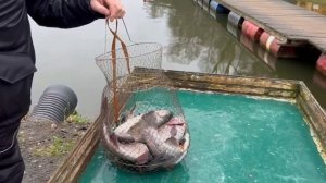 03.12.25 г. РК Волна.