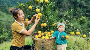 Дуонг. Мама поневоле. Собираем сладкие апельсины и продаем их на рынке. 15 серия
