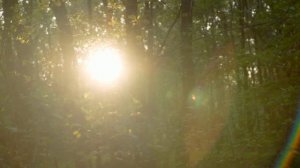 Ты пеленал меня в нежность