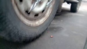 1000079761.mp4 Хай Джек из Жигулёвского 2