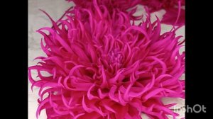 цветы из ткани