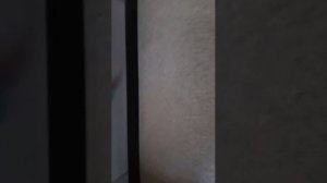 У ТЁМЫ ДЕН РОЖДЕНИЕ