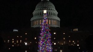 Рождественскую ель установили у здания Капитолия в Вашингтоне