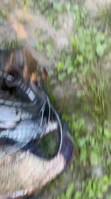 Спас дурную утку: история успеха #rattleribelk