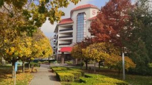 Анапа Золотые пески Ноябрь 2025 Часть 2