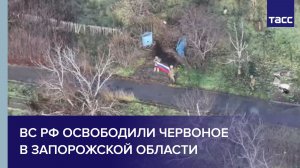 ВС РФ освободили Червоное в Запорожской области