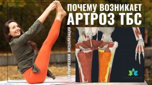 Почему выключаются ЯГОДИЧНЫЕ МЫШЦЫ и возникает АРТРОЗ ТАЗОБЕДРЕННЫХ СУСТАВОВ?