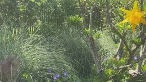 ГЕРМАНИЯ УДИВИТЕЛЬНЫЙ ДИЗАЙНЕРСКИЙ САД  🏡 - День открытых дверей