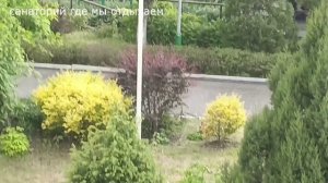 Санаторий, где мы будем жить целый месяц