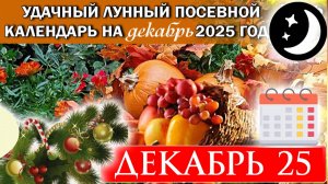ЛУННЫЙ ПОСЕВНОЙ КАЛЕНДАРЬ ОГОРОДНИКА НА ДЕКАБРЬ 2025