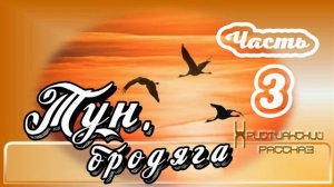 📗 "Тун, бродяга" Часть 3 ~ РАССКАЗ Христианский ~ 🟢ПРОДОЛЖЕНИЕ СЛЕДУЕТ ~ всего 4 части