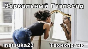 ЗЕРКАЛЬНЫЙ ГАВПОСАД  Технопранк от Matsuka23