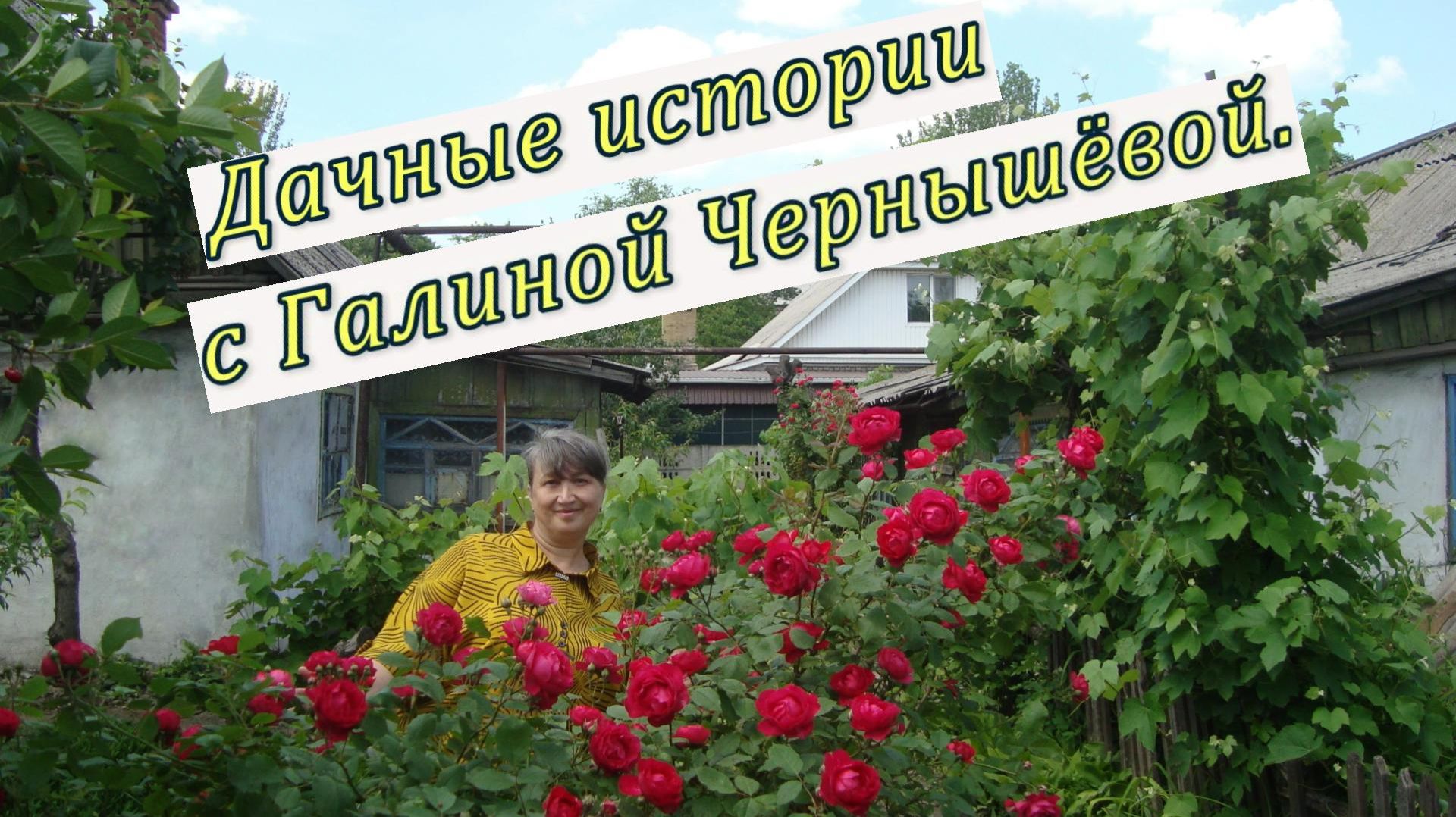 2023. "Обрезала стрелы чеснока | Сезон клубники". 09.06.2023.