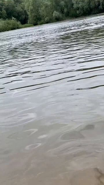 Жереха домой, а следом окуня. Сезон спиннинга открыл