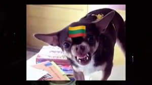 БЫЛО ИНИЦИАТИВНО КОНСТРУКТИВНО,НО ДЛЯ НАС,ДЛЯ МАСС,НЕ ИНФОРМАТИВНО.