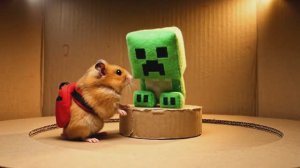 🐹 ХОМЯК проходит ГИГАНТСКИЙ ЛАБИРИНТ с ЛОВУШКАМИ! Встретил КРИПЕРА из Майнкрафт | Милое видео