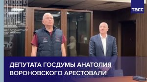 Депутата Госдумы Анатолия Вороновского арестовали