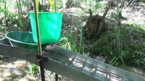 Мою Золото минишлюзом в роднике!