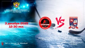 2025-12-03 СОЗВЕЗДИЕ  - ХК ДЕКО МИНЕРАЛС 2015 г. р.