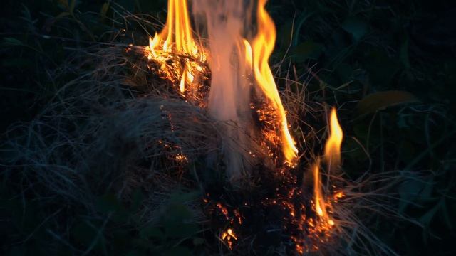 Helios 44-2 + Sony A7 III: Магия старого стекла на вечерней тяге