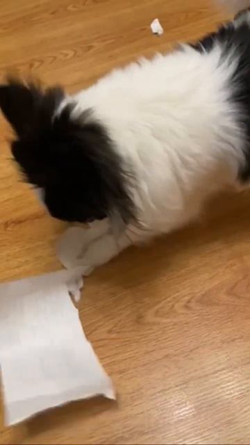 Учим с Фунтиком английский. Доедаю последнюю страницу