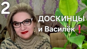ДОСКИНЦЫ и Василёк❗️