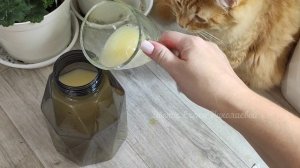 НАЛЕЙ в ГЕРАНЬ ЗИМОЙ и любой цветок чтобы листики не желтели и все цветы оживали и зазеленели