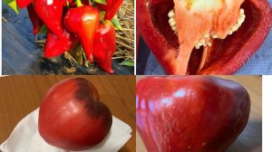 АВТОМИНУТКА✅АНОНС НА ТРАНСЛЯЦИЮ ✅/жизнь здесь и сейчас ❤️❤️❤️