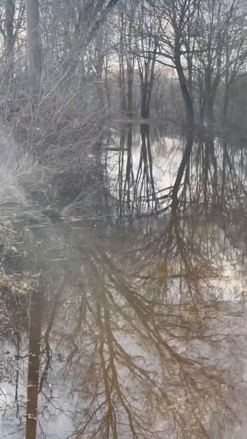 Дорога к Белым Камням