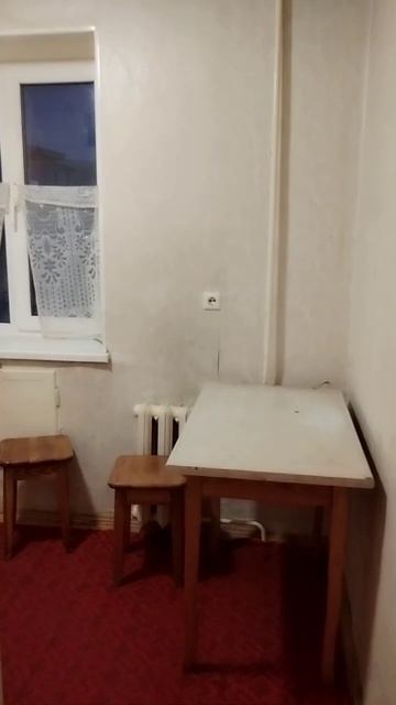 video_2025-12-03_11-04-42 смотреть онлайн