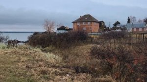 🌲 д. Ерестная Ордынский р-он Новосибирская область - MOMENTY✨