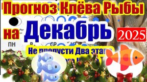 Прогноз клева рыбы на ДЕКАБРЬ 2025 года. Лунный календарь рыбака. Календарь рыбака на ДЕКАБРЬ