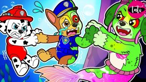 Щенячий патруль и Маршалл. Залипательное видео. Мультфильм для детей и малышей. Анимация
