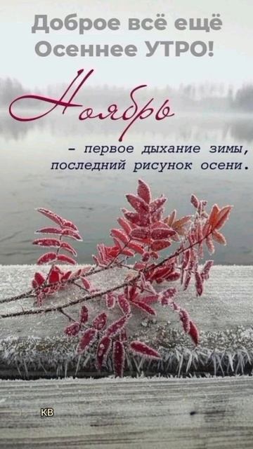 #katyboro #shortvideo #shorts #short #   #открытка #2025 #топ #рек #врек #рекомендации