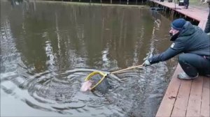 Поимки форели не только на блёсны. Клёвое место, Лосиный остров, спорт-зона.