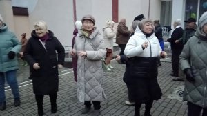 Две ромашки......30.11.25 Гомель парк Луначарского 🥰💫