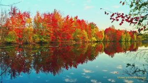 #Коран#АнНисаъ#СамыеКрасивыеМеста#Relaxation##Islam#Quran#AnNisa'#Minshawiy #4кВидео#18часть#