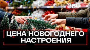 Россияне кинулись закупать елки и гирлянды. Сколько стоит новогоднее настроение?