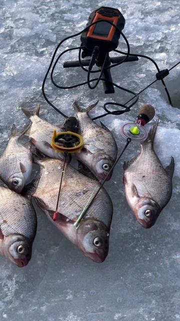 Последний лед 2024. Безмотылка. Подлещики. Весна пришла