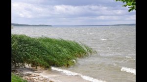 НОМЕР УСТРОЕННЫЙ НА БЕРЕГУ (рассказ)