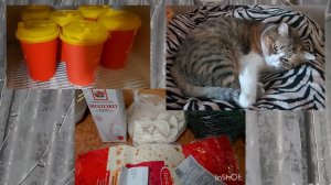 Пробежка, болталка))). Небольшие покупки. Холодает все сильнее))) Не могу работать.