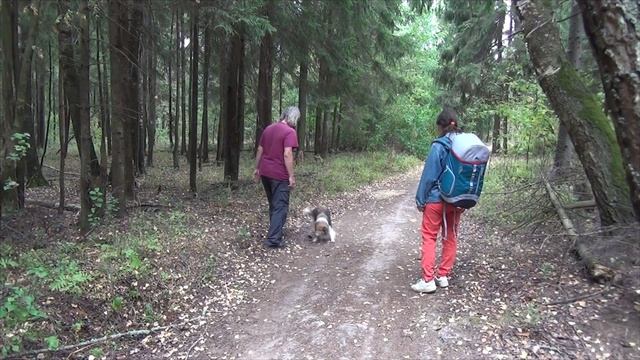 Лета Луцино 20.08.2022 день