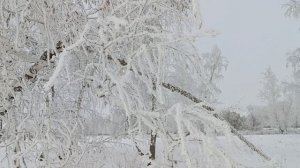 Зима - зима❄️ Исполняет Вячеслав Малежик.