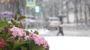 Ученый объяснил россиянам, почему снежинки шестиугольные