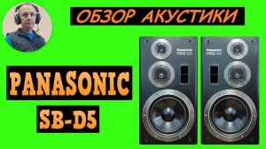 Обзор акустической системы PANASONIC SB-D5