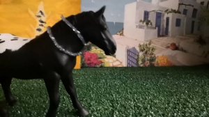 Новости ❤️🔥 кстати такая же лошадь есть у канала Зиви хорс